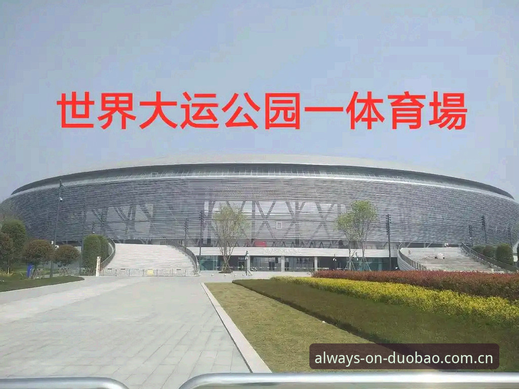 多宝体育中国官方主站手机版下载不了，问题究竟出在哪一步？